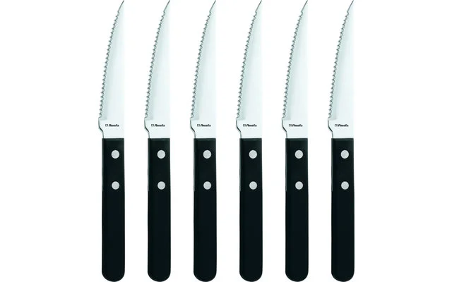 Amefa Steakmesser Und Pizzamesser 6 Stück