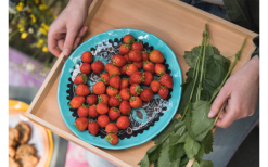 Rebel Outdoor Dessertteller 22 Cm Gelb